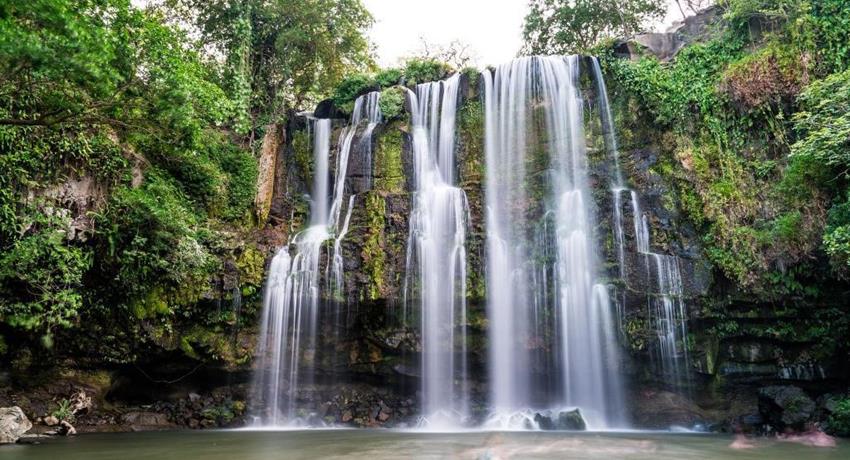 Llanos de Cortez, sloth and coffee tour